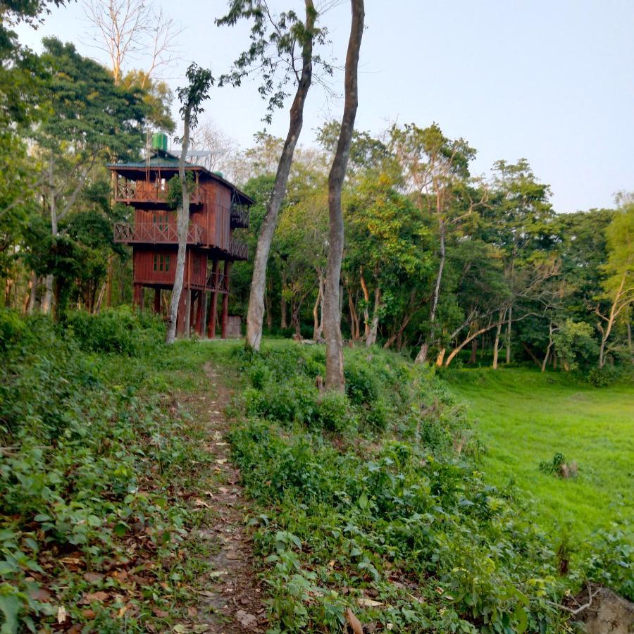 Hotel Tiger Tops Sauraha Luaran gambar