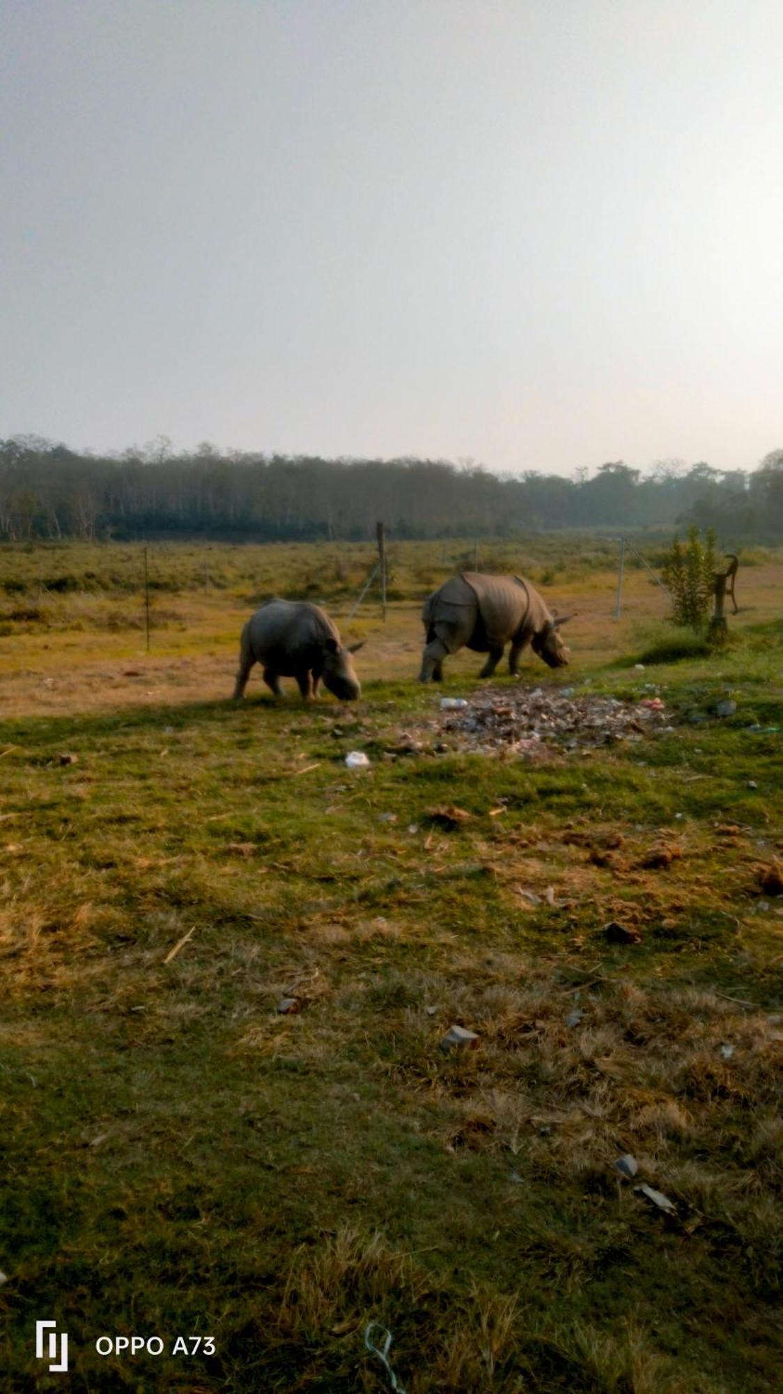 Hotel Tiger Tops Sauraha Luaran gambar